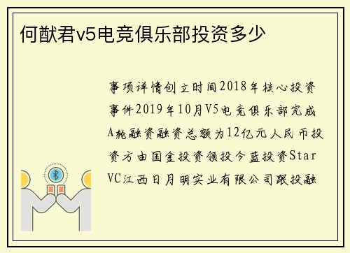 何猷君v5电竞俱乐部投资多少